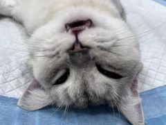 -荔康动物医院(康王北路店)