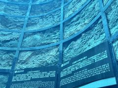 -中国西峡恐龙遗迹园