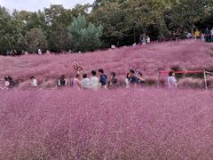 -牛岗山公园
