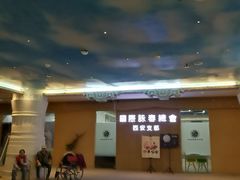-中影国际影城(大唐西市4K临境音店)