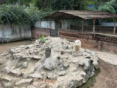 -深圳野生动物园