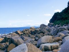 -洞背山庄(洞背院区式管理小区店)