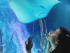 -沈阳海洋探索中心