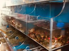 水产区-宾朋海鲜特色美食餐厅·纯手工鲅鱼水饺(兴海路店)