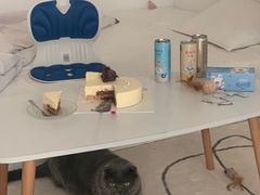 -法兰之吻蛋糕甜品(大望路店)