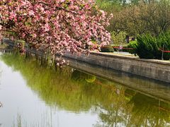 -元大都城垣遗址公园