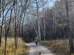 -玉渡山自然风景区