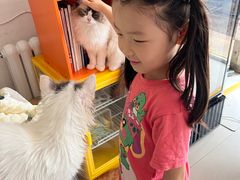 -平行世界·猫咖(首经贸店)