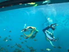 -瑞德姆美人鱼海底演艺主题餐厅(亚龙湾店)