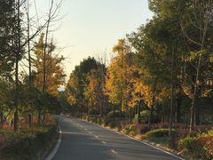 -黄陂区野村谷景区