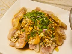 -百利鸽王(紫薇路店)