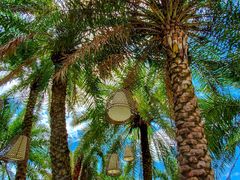 -厦门日月谷温泉渡假村