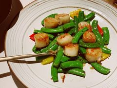 自家制XO酱炒蜜豆带子-三号黄浦会Canton Table