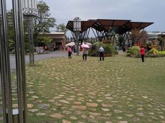 -上海长兴岛郊野公园