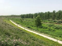 -洨河生态公园