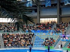 -海合安成都极地海洋公园