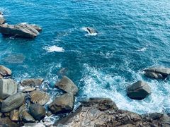 -广东惠东海龟国家级自然保护区