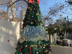 -康乐(滨江道店)