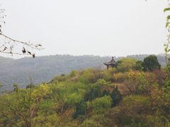 -北京西山国家森林公园