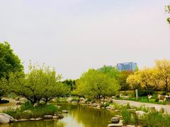 -大望京公园