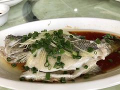-区海鸡场饭店(石壁店)