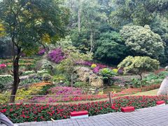 -广州市白云山风景名胜区