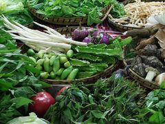 -昆虫窝子·特色云南菜(拓东路总店)