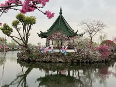 -无锡蠡湖国家湿地公园-蠡园