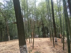 -石燕湖生态旅游景区
