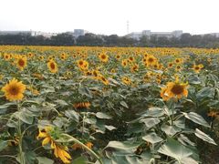 -南京信息职业技术学院