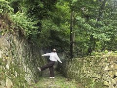 -莫干山风景区