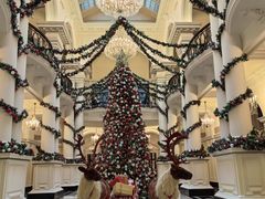 -Salon de Ville浦江汇(上海外滩华尔道夫酒店店)