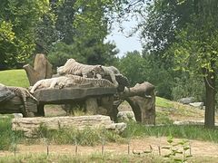 -北京野生动物园