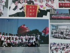 -爱月宝月嫂·育儿嫂(哈尔滨总店)