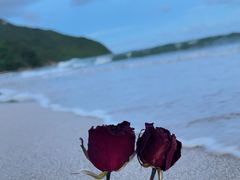 -西涌国际滨海旅游区