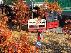 -Blue Concept Cafe&Farm·關於藍