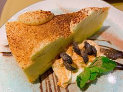 -飞行喵MR PILOT|猫舍·猫咖(静安大融城店)