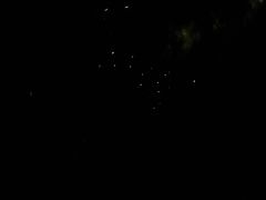 -怀托摩萤火虫洞