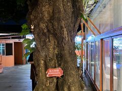 -陶缘一号·四季缘·老字号顺德菜·户外婚礼家宴(西滘店)