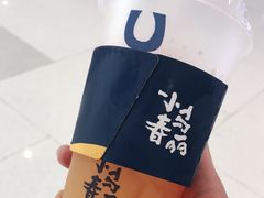 -春丽小马(济南恒隆广场店)