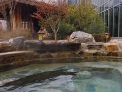 -中家鑫园温泉酒店鑫悦汤泉
