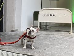 -RAC BAR(安福路店)