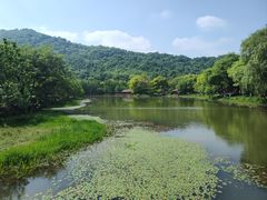 -八卦田遗址公园