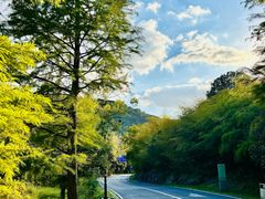 -南京市无想山景区