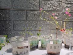 -好玩工厂密室·鹅鸭杀·桌游拼豆电玩
