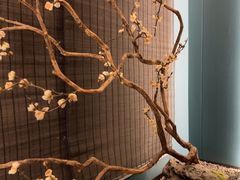 -臻品足道(佛祖岭店)