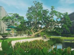 -星巴克(深圳前海企业公馆店)