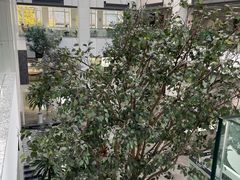 -苏州图书馆(人民路总馆)