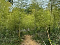 -潜山国家森林公园