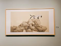 -江苏省美术馆(长江路新馆)